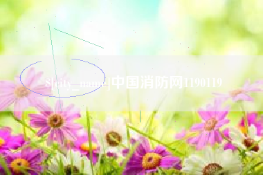 湖北中国消防网1190119