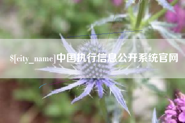 湖北中国执行信息公开系统官网