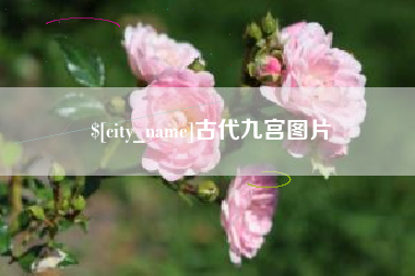 湖北古代九宫图片