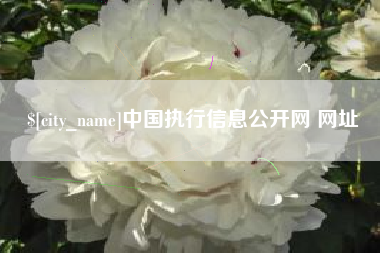 湖北中国执行信息公开网 网址