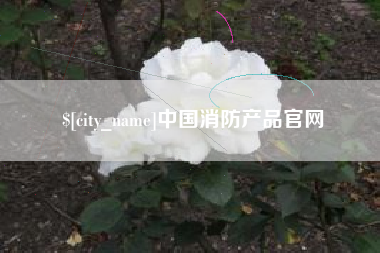 湖北中国消防产品官网