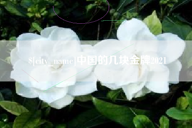湖北中国的几块金牌2021