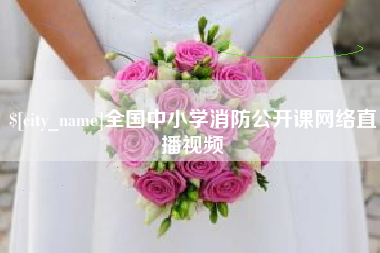 湖北全国中小学消防公开课网络直播视频