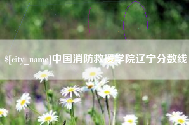湖北中国消防救援学院辽宁分数线