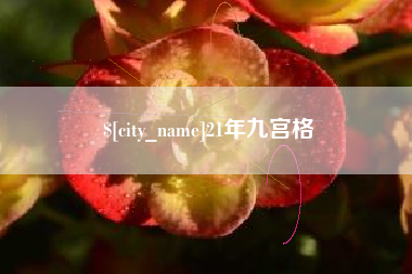 湖北21年九宫格