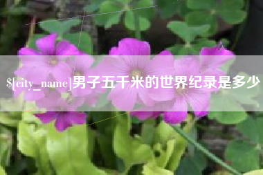 湖北男子五千米的世界纪录是多少