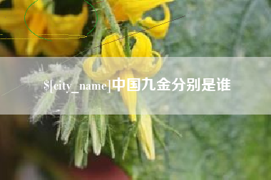 湖北中国九金分别是谁
