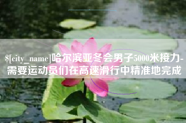 湖北哈尔滨亚冬会男子5000米接力-需要运动员们在高速滑行中精准地完成