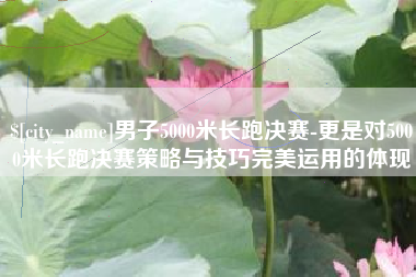 湖北男子5000米长跑决赛-更是对5000米长跑决赛策略与技巧完美运用的体现