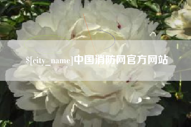 湖北中国消防网官方网站