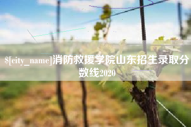 湖北消防救援学院山东招生录取分数线2020