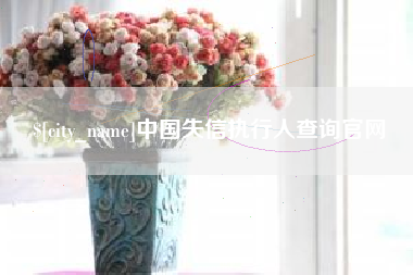 湖北中国失信执行人查询官网