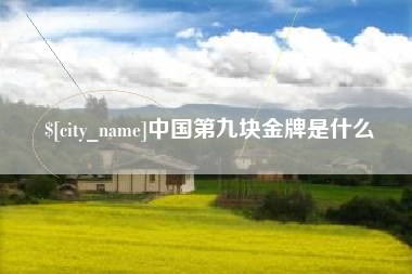 湖北中国第九块金牌是什么