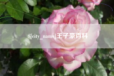 湖北王子豪百科
