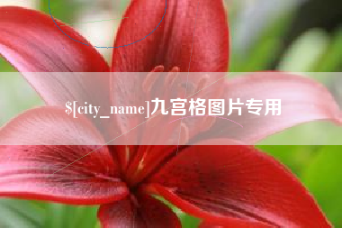 湖北九宫格图片专用