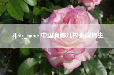 湖北中国有哪几枚金牌得主