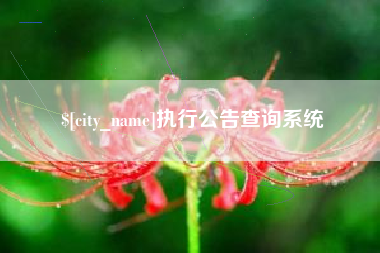 湖北执行公告查询系统