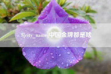湖北中国金牌都是啥