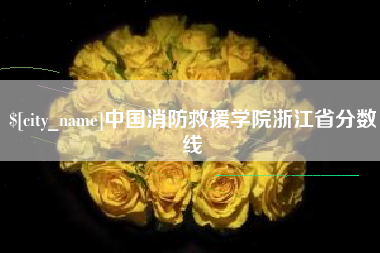 湖北中国消防救援学院浙江省分数线