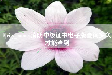 湖北消防中级证书电子版查询多久才能查到