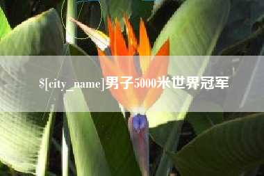 湖北男子5000米世界冠军