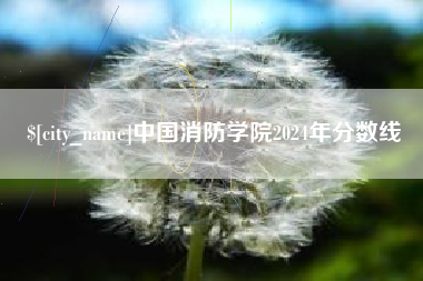 湖北中国消防学院2024年分数线