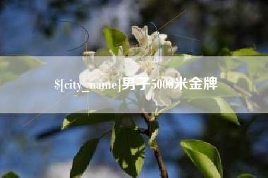 湖北男子5000米金牌
