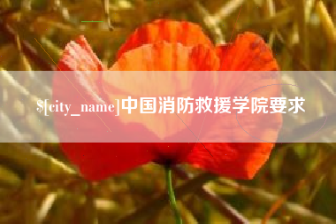 湖北中国消防救援学院要求