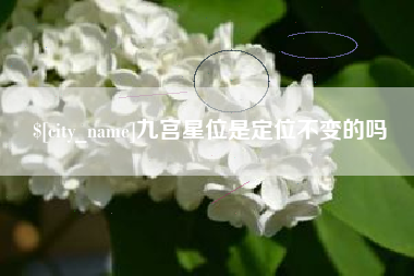 湖北九宫星位是定位不变的吗