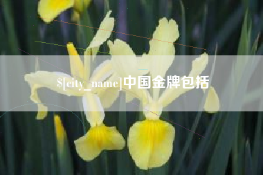 湖北中国金牌包括