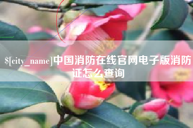 湖北中国消防在线官网电子版消防证怎么查询