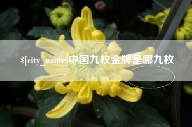 湖北中国九枚金牌是哪九枚