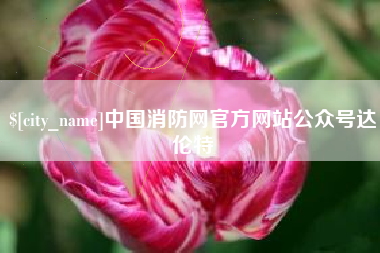 湖北中国消防网官方网站公众号达伦特