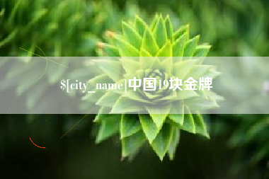 湖北中国19块金牌