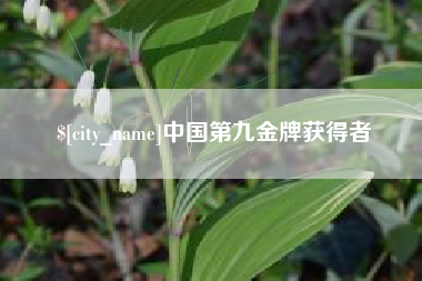 湖北中国第九金牌获得者