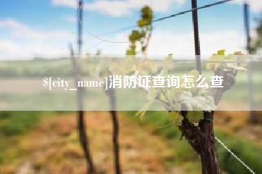 湖北消防证查询怎么查