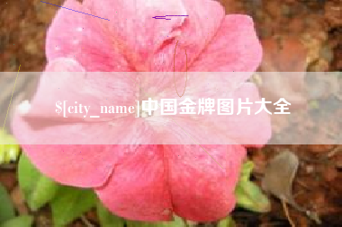 湖北中国金牌图片大全