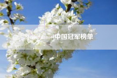 湖北中国冠军榜单