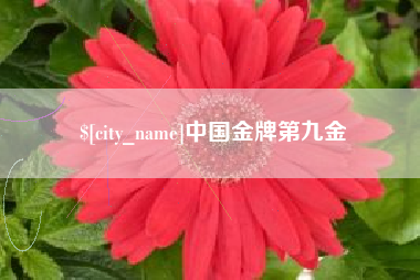 湖北中国金牌第九金