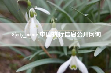 湖北中国执行信息公开网询