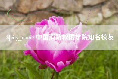湖北中国消防救援学院知名校友