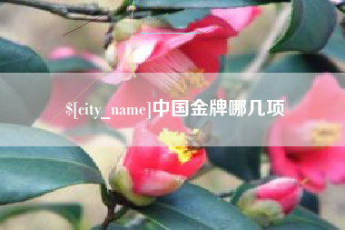 湖北中国金牌哪几项