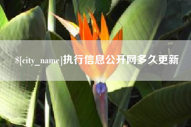 湖北执行信息公开网多久更新
