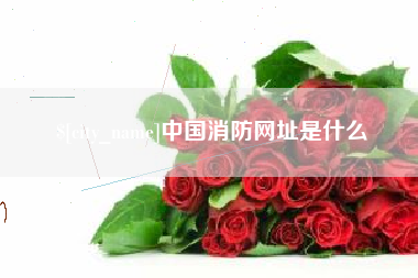 湖北中国消防网址是什么