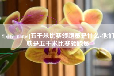 湖北五千米比赛领跑员是什么-他们就是五千米比赛领跑员