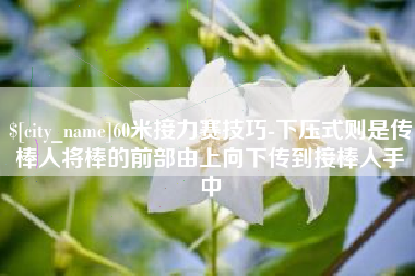 湖北60米接力赛技巧-下压式则是传棒人将棒的前部由上向下传到接棒人手中