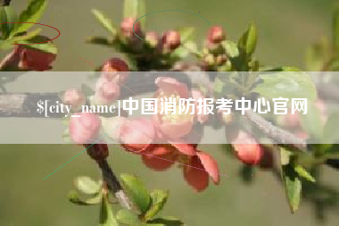 湖北中国消防报考中心官网