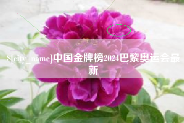 湖北中国金牌榜2024巴黎奥运会最新