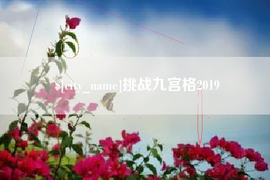 湖北挑战九宫格2019