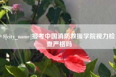 湖北报考中国消防救援学院视力检查严格吗